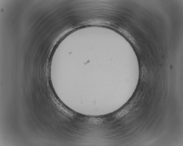 X0000086080848200704091259