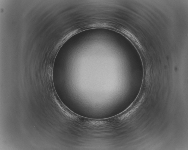 X0000086080849200704091259