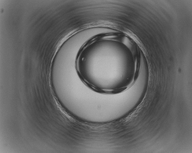 X0000086080850200704091259