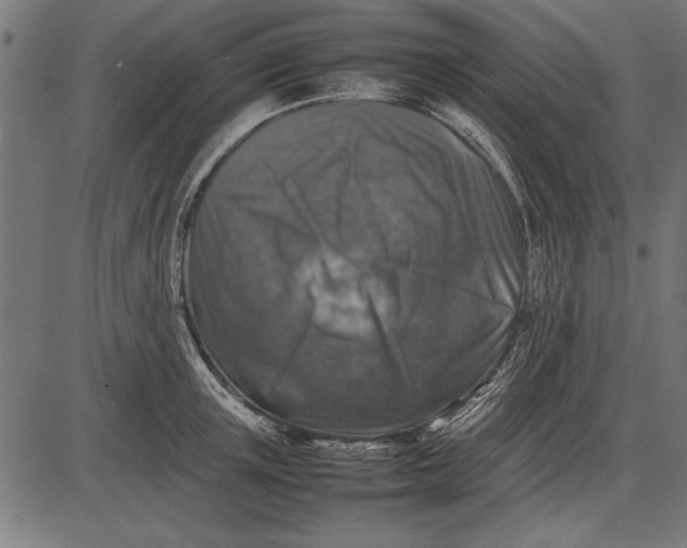 X0000086080851200704091259