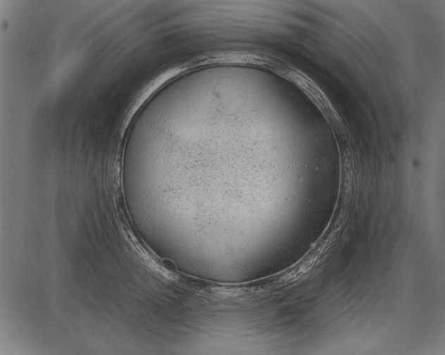 X0000086080852200704091259