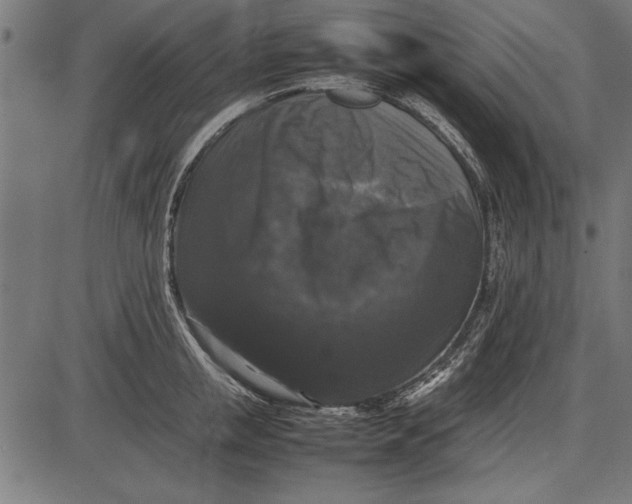 X0000086080853200704091259