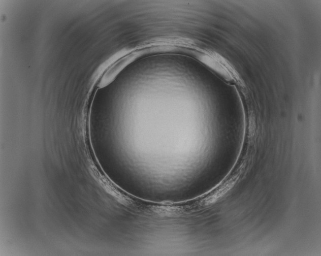 X0000086080854200704091259