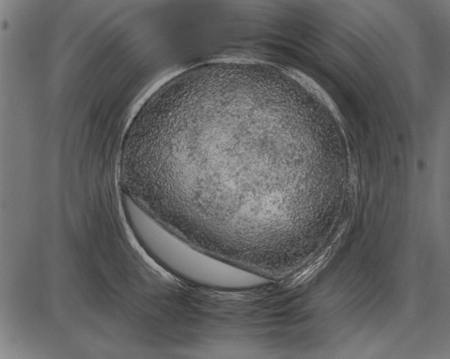 X0000086080855200704091259