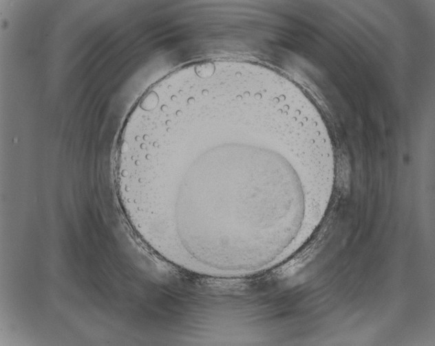 X0000086080856200704091259