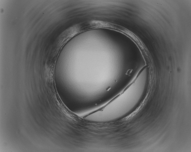 X0000086080857200704091259