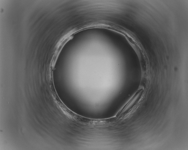 X0000086080858200704091259