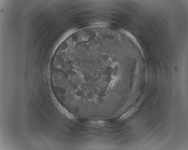 X0000086080859200704091259