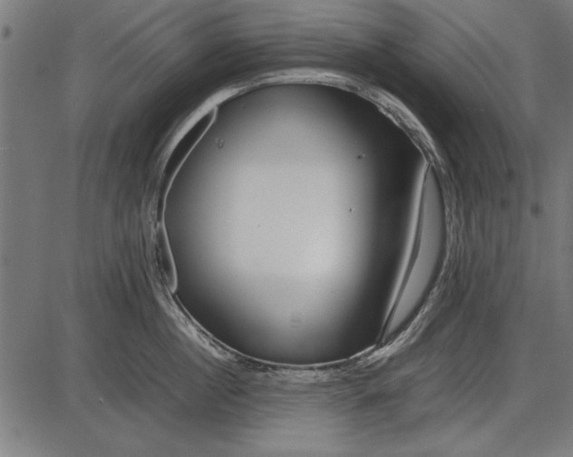 X0000086080860200704091259