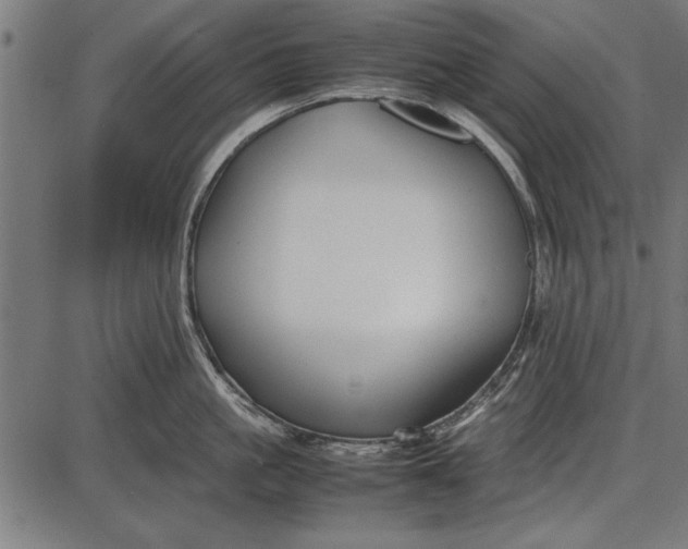 X0000086080861200704091259