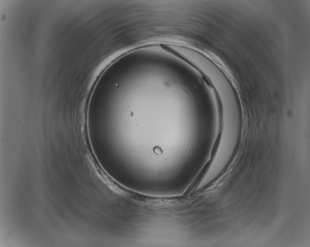 X0000086080862200704091259