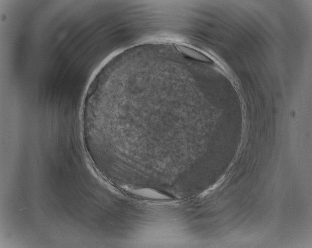 X0000086080864200704091259