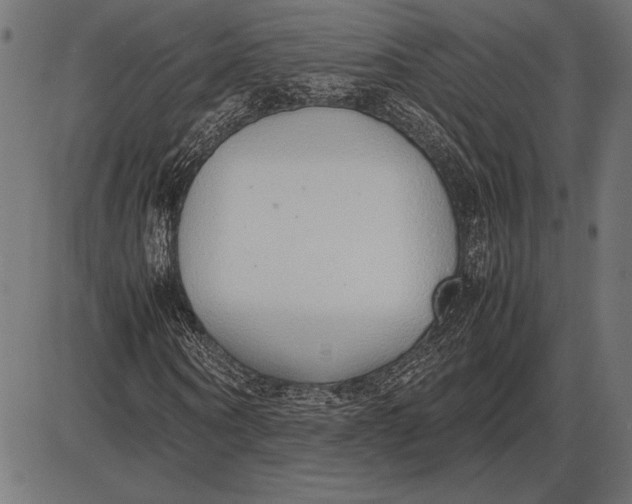 X0000086080866200704091258