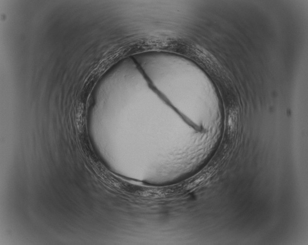 X0000086080867200704091258