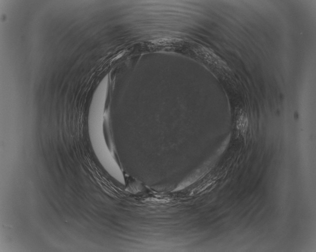 X0000086080868200704091258