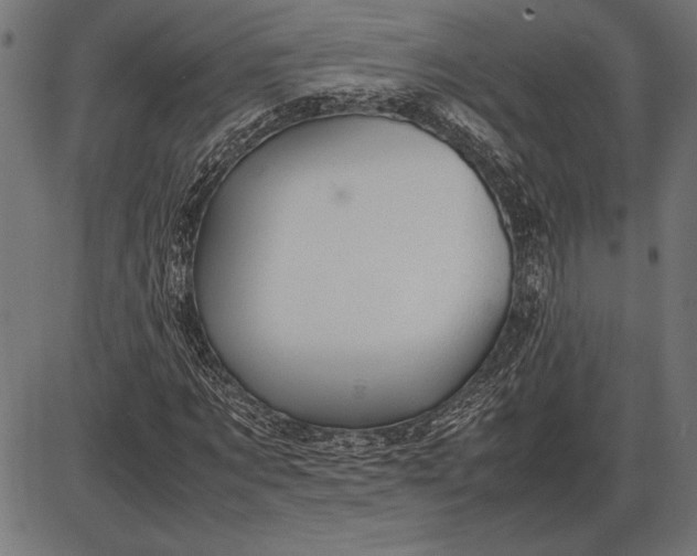 X0000086080869200704091258