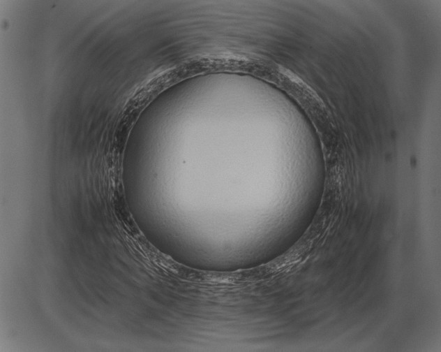 X0000086080870200704091258