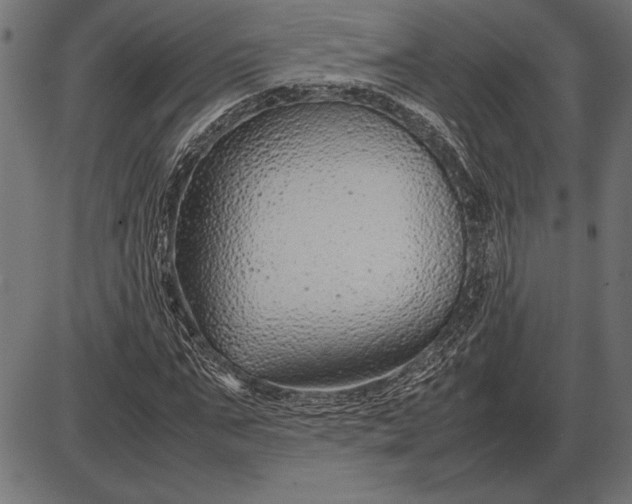 X0000086080871200704091258