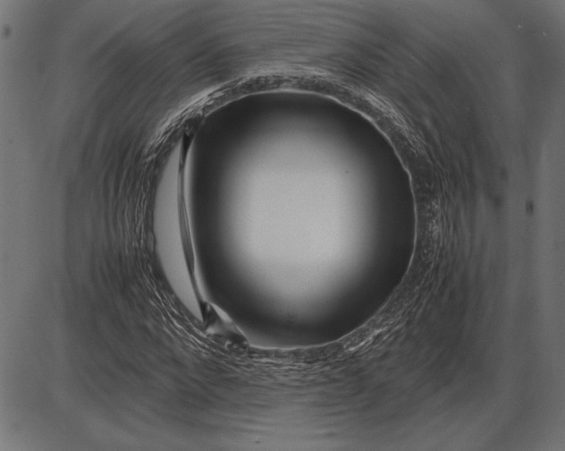 X0000086080872200704091258