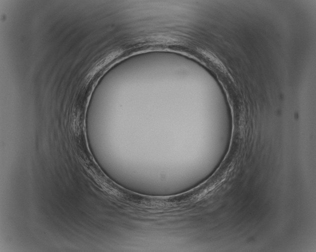 X0000086080873200704091258