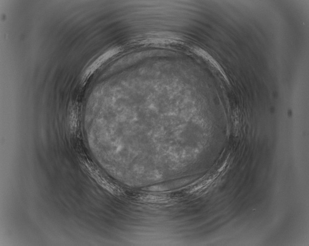 X0000086080874200704091258