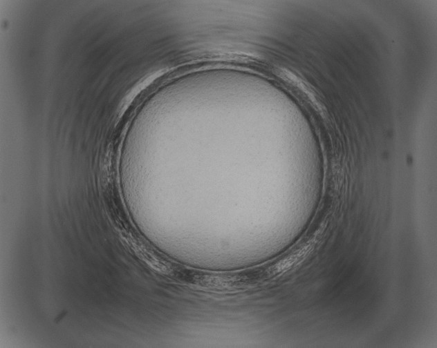 X0000086080875200704091258