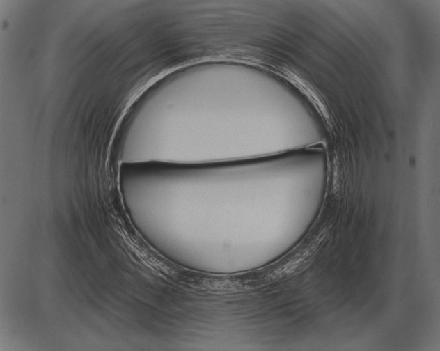 X0000086080876200704091258