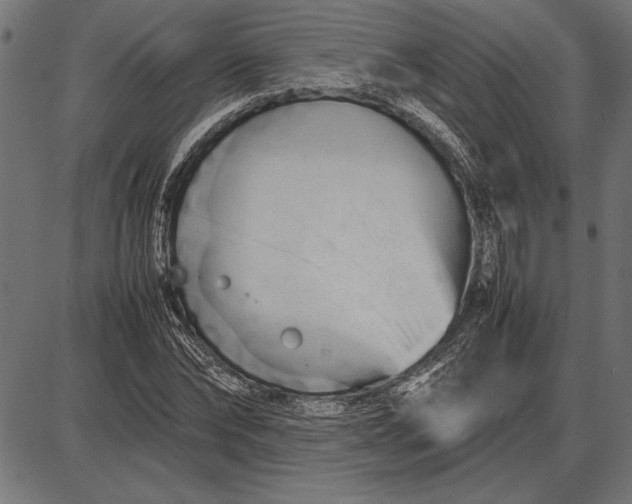 X0000086080878200704091258