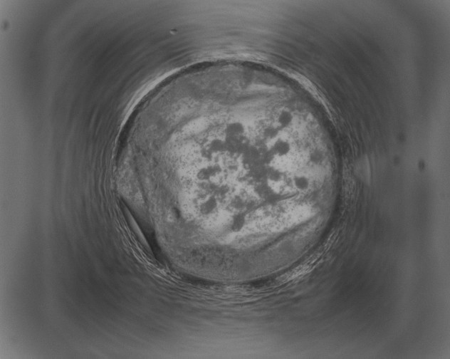 X0000086080879200704091258