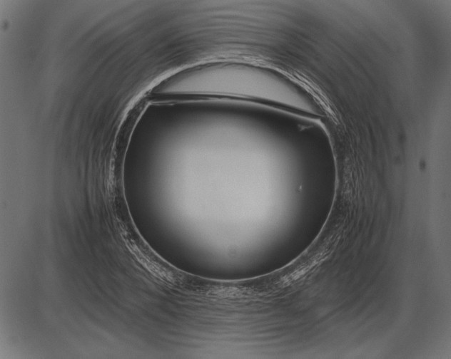 X0000086080880200704091258