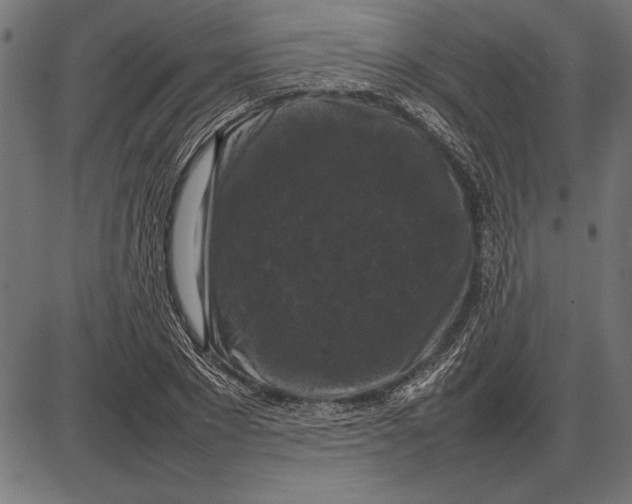 X0000086080881200704091258