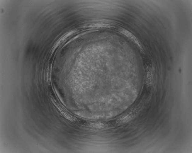 X0000086080882200704091258