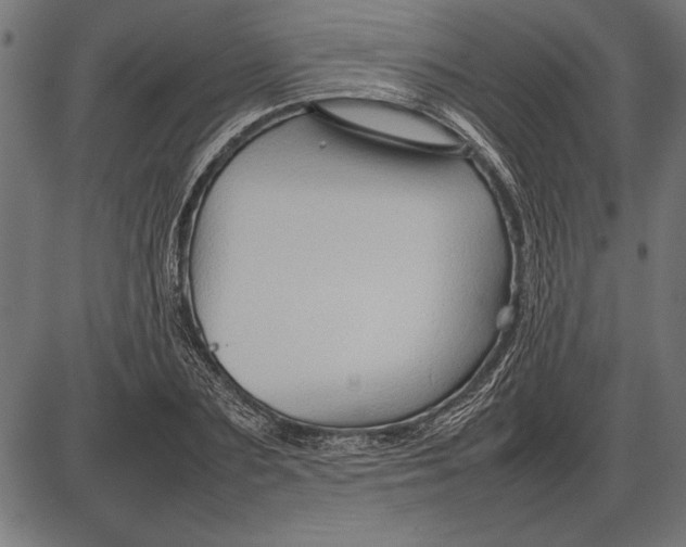 X0000086080883200704091258