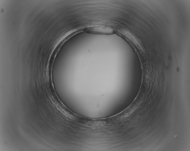 X0000086080884200704091258