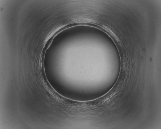 X0000086080885200704091258