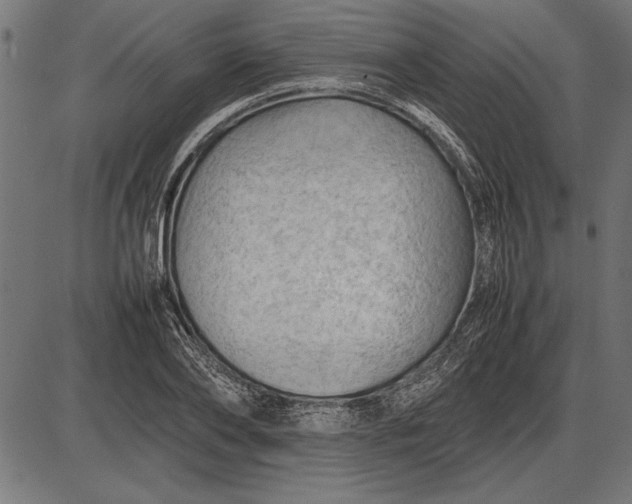 X0000086080886200704091258