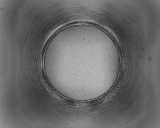 X0000086080887200704091258