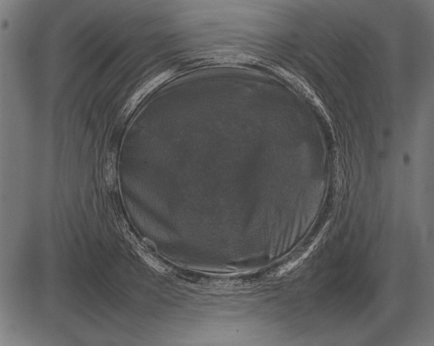 X0000086080889200704091258