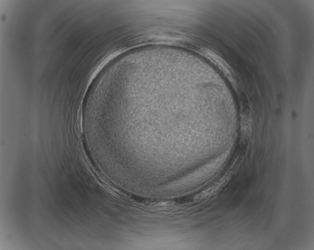 X0000086080891200704091258