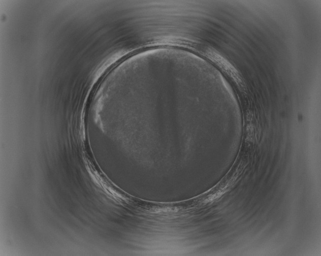 X0000086080892200704091258