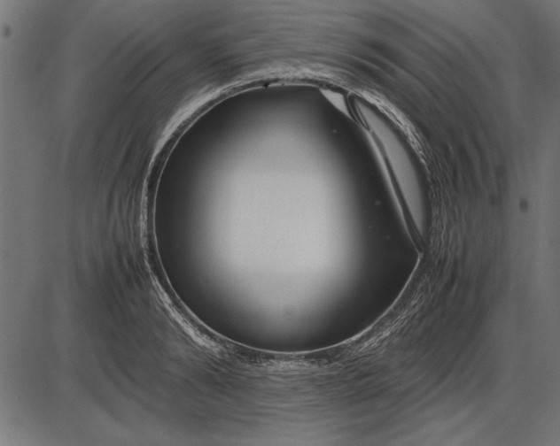 X0000086080894200704091258