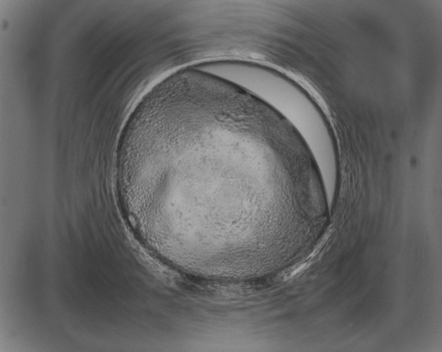 X0000086080895200704091258