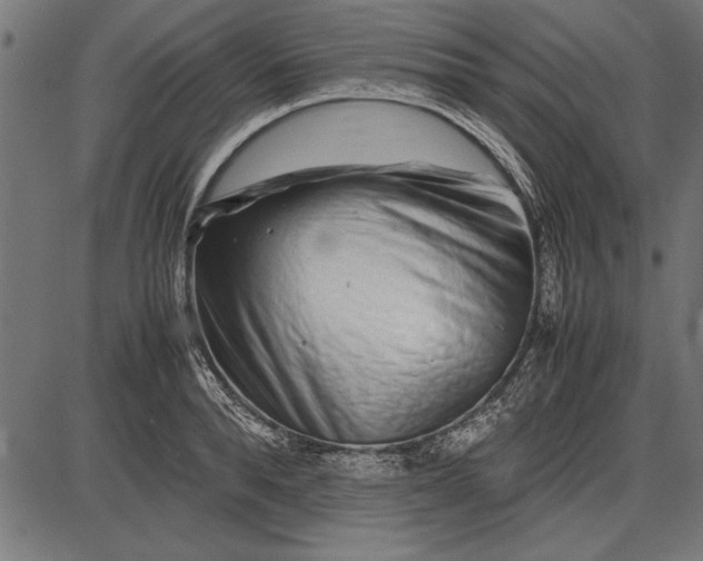 X0000086080896200704091258