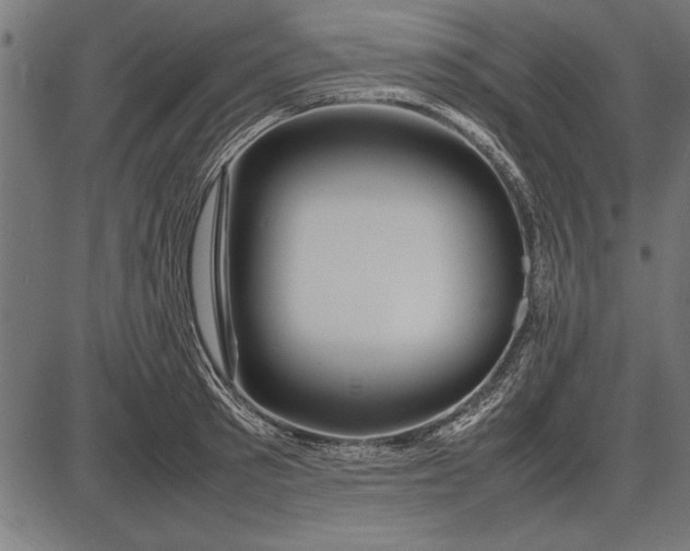 X0000086080897200704091258