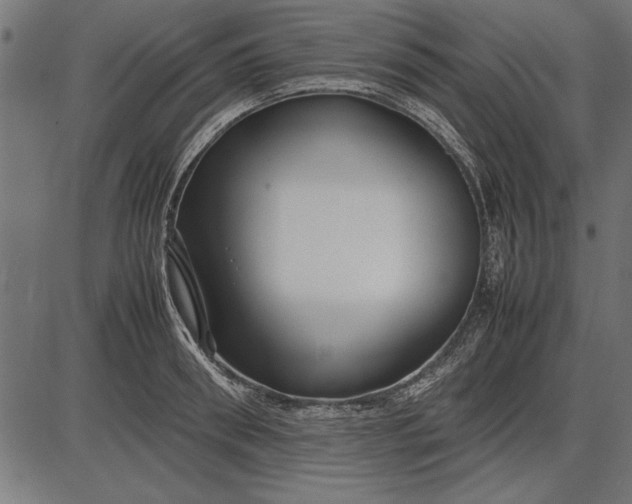 X0000086080898200704091258