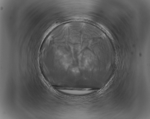 X0000086080899200704091258