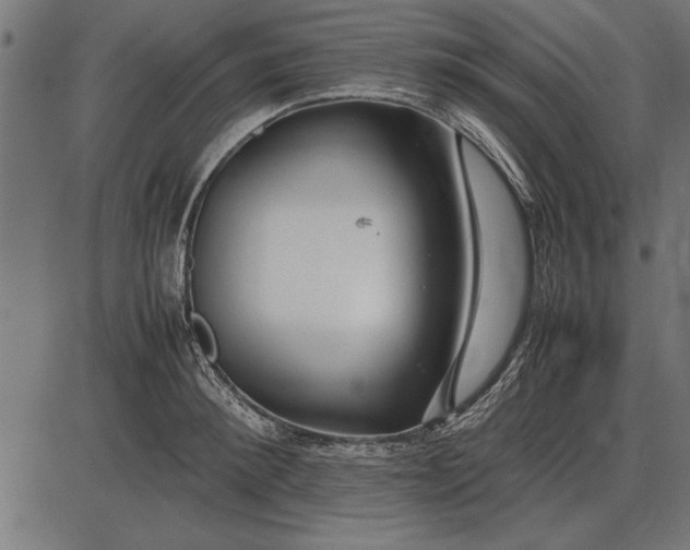 X0000086080900200704091258