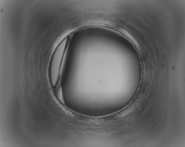 X0000086080901200704091258