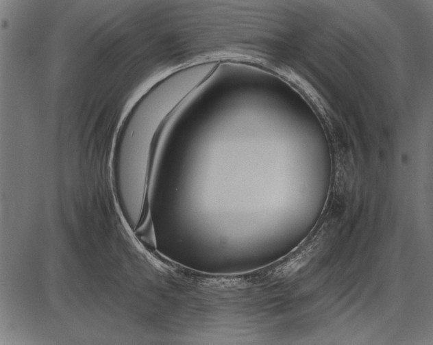 X0000086080902200704091258