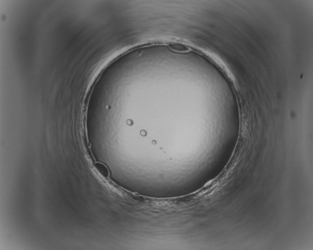 X0000086080903200704091258